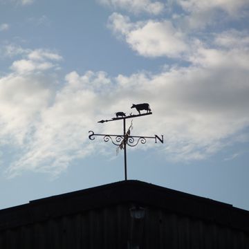 My first commission for a farmer